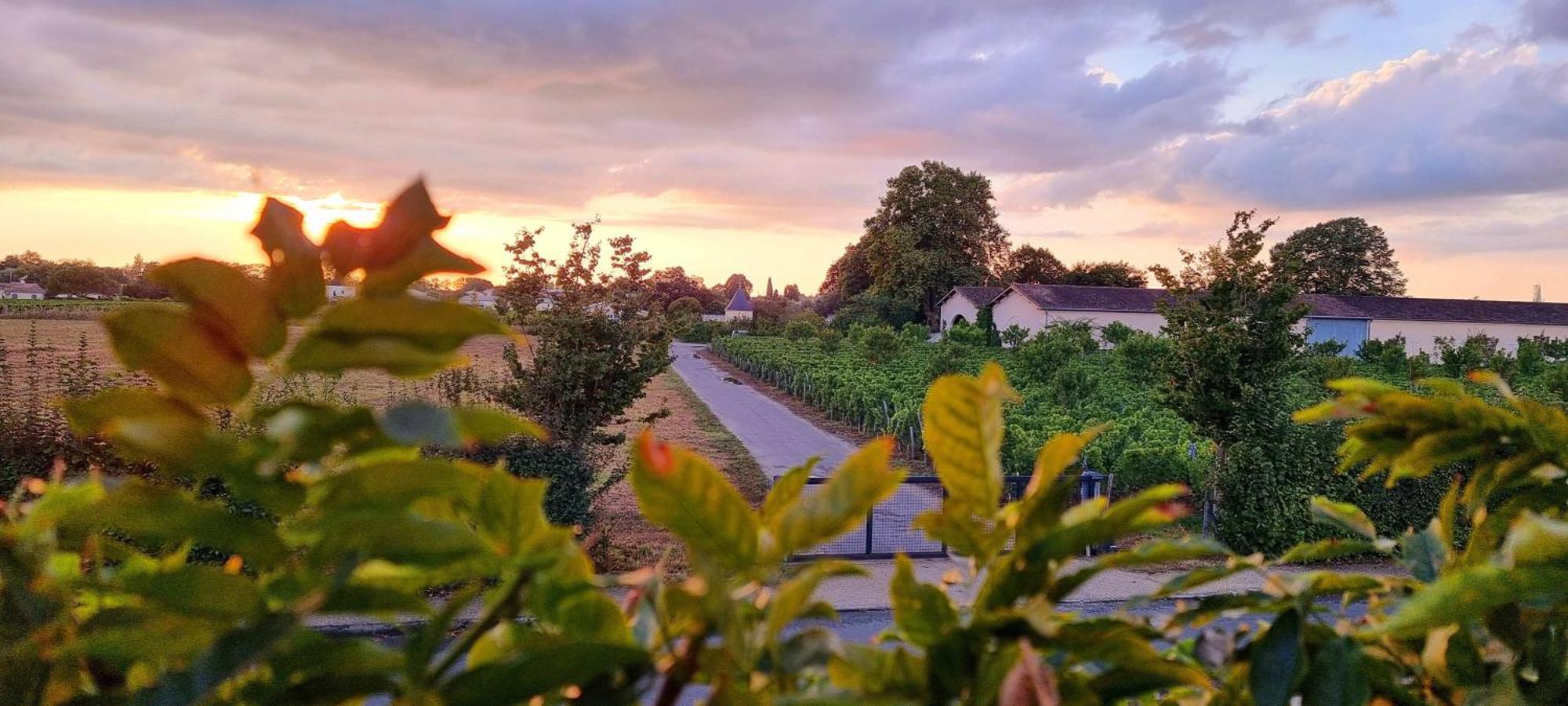 Appartement Quinault Libourne Exterior foto